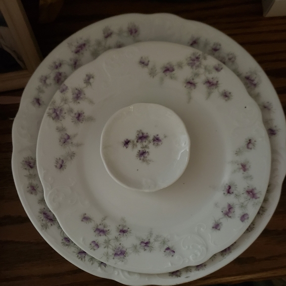 Altrohla Austria 10 Dinner Plates , 10 Salad plates ,4 Decorative plates . - Picture 5 of 13